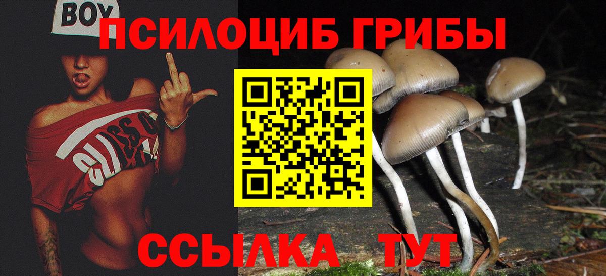 Галлюциногенные грибы мухоморы  Вход с VPN  Галлюциногенные грибы Psilocybe  Лысьва 