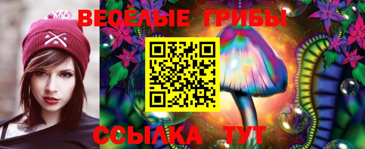 Галлюциногенные грибы Cubensis Лысьва